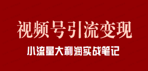 【网上项目资源19】-视频号引流变现-黎明曙光网