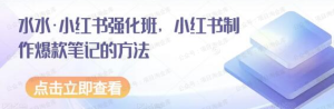【网上项目资源10】-水水2024小红书强化班-黎明曙光网