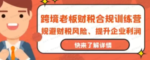 【网下项目资源8】-【训练营】跨境老板财税合规特训营-黎明曙光网