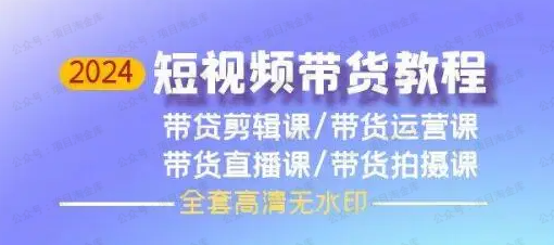 图片[1]-2024短视频带货教程