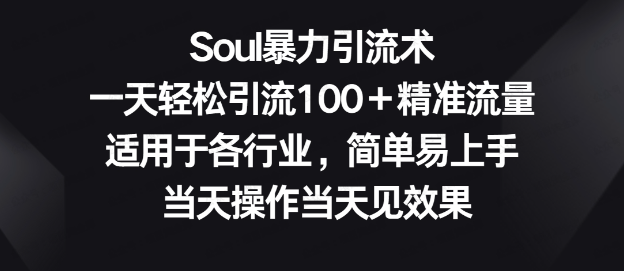 图片[1]-Soul暴力引流术
