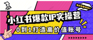【网上项目资源46】-小红书爆款IP实战营-黎明曙光网