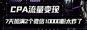 【网上项目资源55】-CPA流量变现7天加满两个微信10000粉-黎明曙光网