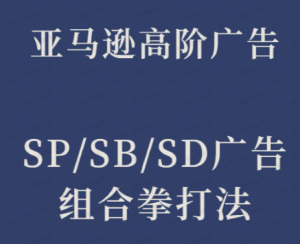 【黄金会员专属资源22】-亚马逊SP_SB_SD广告组合打法-黎明曙光网