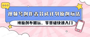 【网上项目资源66】-视频号创作者分成计划原创玩法;纯原创不搬运、零基础快速入门-黎明曙光网