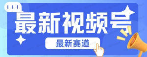 【网上项目资源69】-视频号全新赛道 碾压市面混剪玩法-黎明曙光网