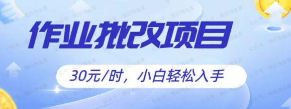 图片[1]-批改作业项目，简单容易上手，适合宝妈，大学生
