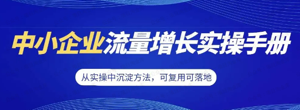 图片[1]-中小企业实战手册流量增长案例全拆解