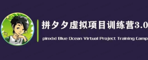 【网上项目资源78】-拼多多虚拟变现3.0 旧课，有需要可以看看-黎明曙光网