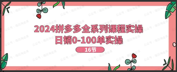 图片[1]-2024拼多多全系列课程【实操】