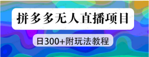【网上项目资源87】-拼多多价值2980元无人直播落地项目资料-黎明曙光网