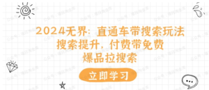 【网上项目资源96】-冰可乐2024 无界：直通车带搜索玩法-黎明曙光网