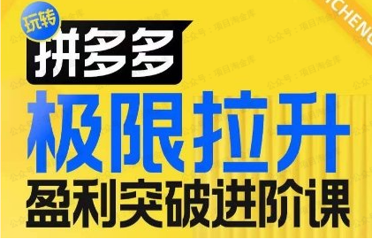 图片[1]-【拼】极限拉升盈利突破进阶课