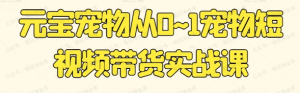 【网上项目资源81】-元宝宠物从0-1宠物短视频带货实战课-黎明曙光网