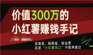 【网上项目资源108】-小红书赚钱手记-黎明曙光网