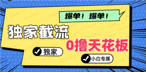 【网上项目资源111】-2024独家截流新玩法，小白分分钟上手，轻松实现躺赚-黎明曙光网