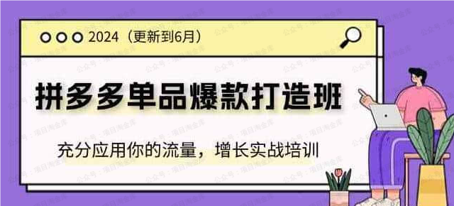 图片[1]-拼多多单品爆款打造课程