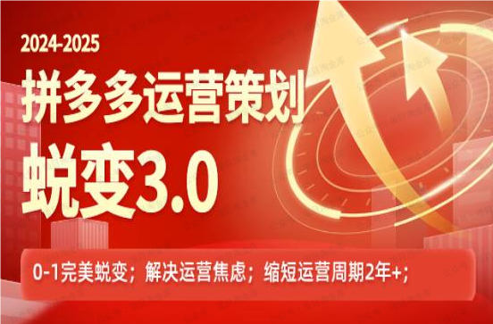 图片[1]-2024-2025 拼多多运营策略蜕变