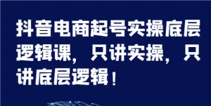 【网上项目资源131】-抖音电商起号实操底层逻辑课-黎明曙光网