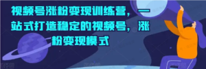 【网上项目资源135】-视频号涨粉变现训练营-黎明曙光网