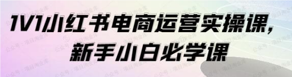 图片[1]-1V1小红书电商实操课