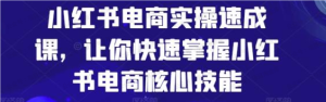 【网上项目资源138】-小红书电商实操速成课-黎明曙光网