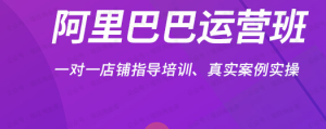 【网上项目资源146】-阿里巴巴店铺运营课-黎明曙光网