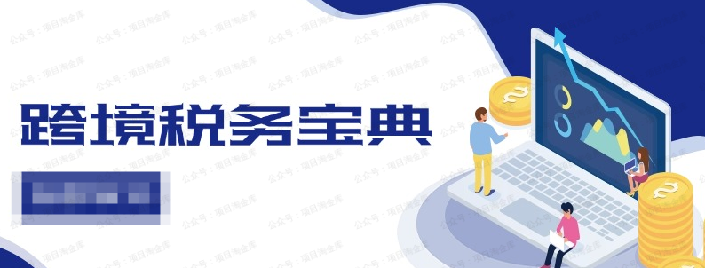 图片[1]-跨境税务宝典教程：跨境电商全球税务处理策略